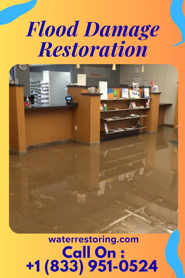 Flood Damage Restoration in Graymoor-Devondale, KY